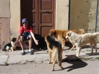 <img0*150:stuff/z/12879/Patricio%2520in%2520Lago%2520Titicaca/DSC04462.JPG>
