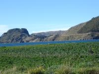 <img0*150:stuff/z/12879/Patricio%2520in%2520Lago%2520Titicaca/DSC04487.JPG>