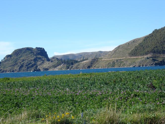 <img0*500:stuff/z/12879/Patricio%2520in%2520Lago%2520Titicaca/DSC04487.JPG>