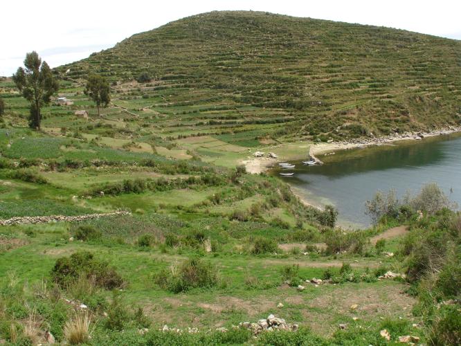 <img0*500:stuff/z/12879/Patricio%2520in%2520Lago%2520Titicaca/DSC04506.JPG>