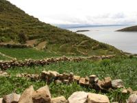 <img0*150:stuff/z/12879/Patricio%2520in%2520Lago%2520Titicaca/DSC04509.JPG>