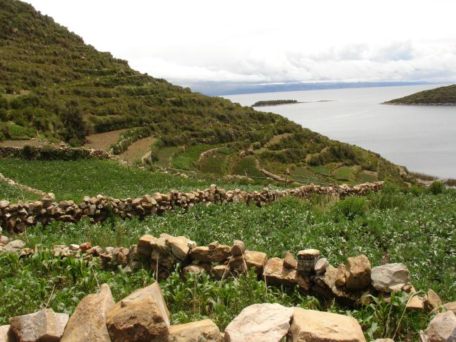 <img0*500:stuff/z/12879/Patricio%2520in%2520Lago%2520Titicaca/DSC04509.JPG>