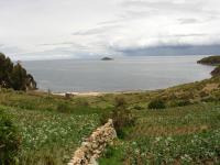 <img0*150:stuff/z/12879/Patricio%2520in%2520Lago%2520Titicaca/DSC04510.JPG>