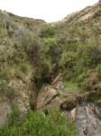 <img0*150:stuff/z/12879/Patricio%2520in%2520Lago%2520Titicaca/DSC04512.JPG>
