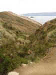 <img0*150:stuff/z/12879/Patricio%2520in%2520Lago%2520Titicaca/DSC04513.JPG>