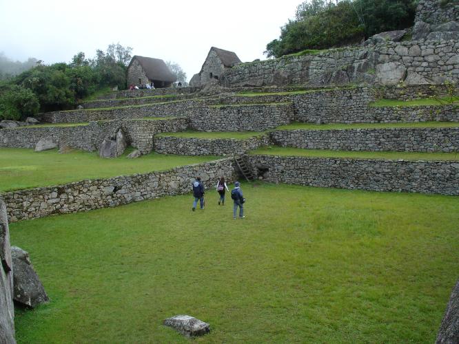 <img0*500:stuff/z/12879/Patricio%2520in%2520Macchu%2520Pichu/DSC04642.JPG>