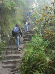 <img0*150:stuff/z/12879/Patricio%2520in%2520Macchu%2520Pichu/DSC04652.JPG>