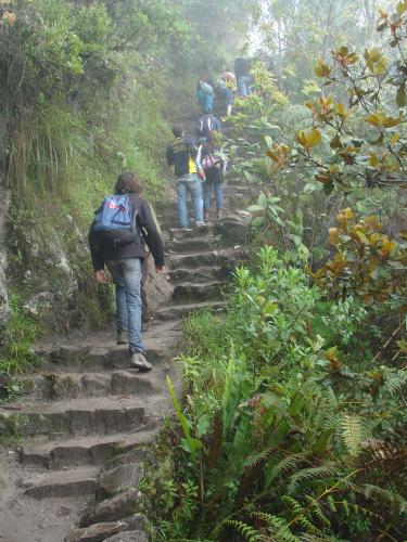 <img0*500:stuff/z/12879/Patricio%2520in%2520Macchu%2520Pichu/DSC04652.JPG>