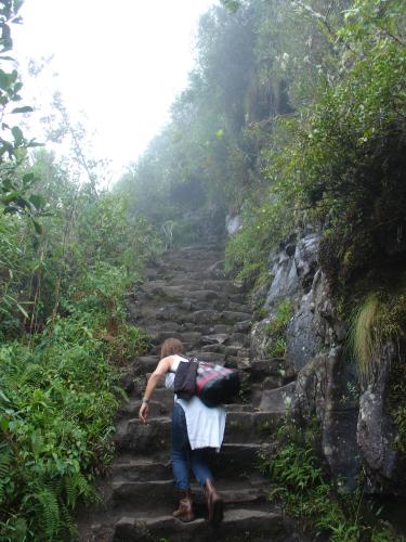 <img0*500:stuff/z/12879/Patricio%2520in%2520Macchu%2520Pichu/DSC04658.JPG>