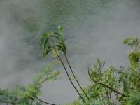 <img0*150:stuff/z/12879/Patricio%2520in%2520Macchu%2520Pichu/DSC04662.JPG>
