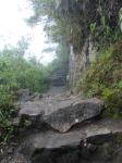 <img0*150:stuff/z/12879/Patricio%2520in%2520Macchu%2520Pichu/DSC04664.JPG>