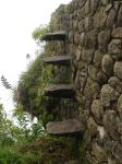 <img0*150:stuff/z/12879/Patricio%2520in%2520Macchu%2520Pichu/DSC04675.JPG>