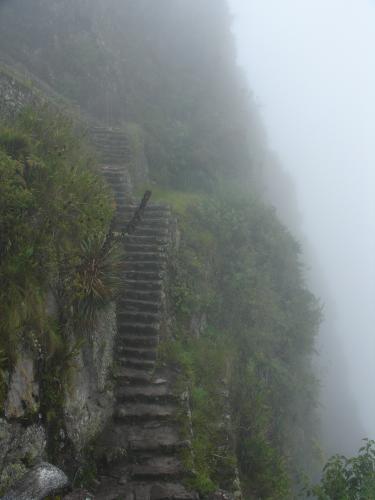 <img0*500:stuff/z/12879/Patricio%2520in%2520Macchu%2520Pichu/DSC04677.JPG>