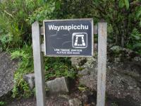 <img0*150:stuff/z/12879/Patricio%2520in%2520Macchu%2520Pichu/DSC04689.JPG>