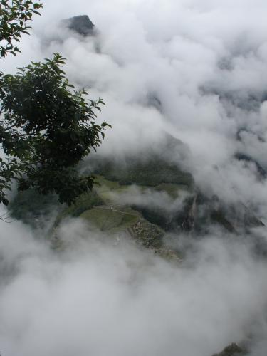 <img0*500:stuff/z/12879/Patricio%2520in%2520Macchu%2520Pichu/DSC04695.JPG>