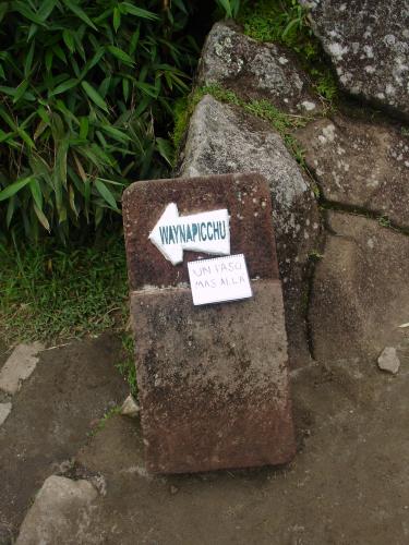 <img0*500:stuff/z/12879/Patricio%2520in%2520Macchu%2520Pichu/DSC04716.JPG>