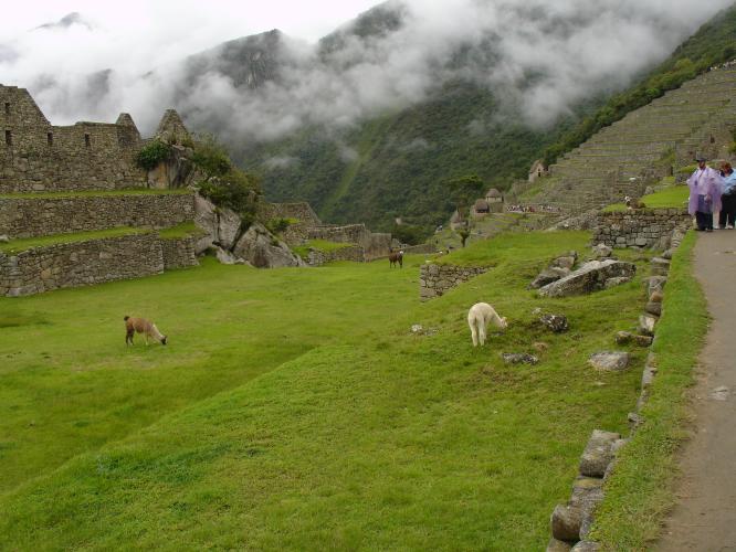 <img0*500:stuff/z/12879/Patricio%2520in%2520Macchu%2520Pichu/DSC04718.JPG>