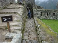 <img0*150:stuff/z/12879/Patricio%2520in%2520Macchu%2520Pichu/DSC04724.JPG>