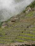 <img0*150:stuff/z/12879/Patricio%2520in%2520Macchu%2520Pichu/DSC04728.JPG>