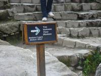 <img0*150:stuff/z/12879/Patricio%2520in%2520Macchu%2520Pichu/DSC04732.JPG>