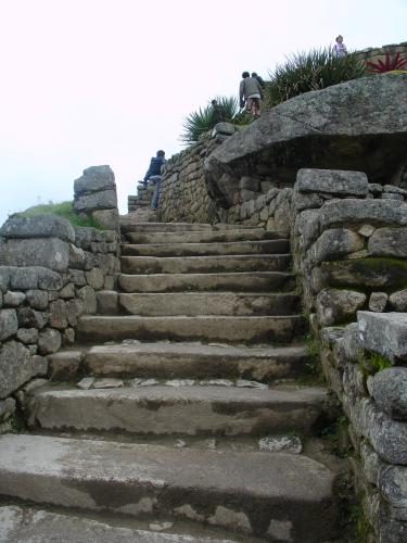 <img0*500:stuff/z/12879/Patricio%2520in%2520Macchu%2520Pichu/DSC04739.JPG>