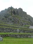 <img0*150:stuff/z/12879/Patricio%2520in%2520Macchu%2520Pichu/DSC04750.JPG>