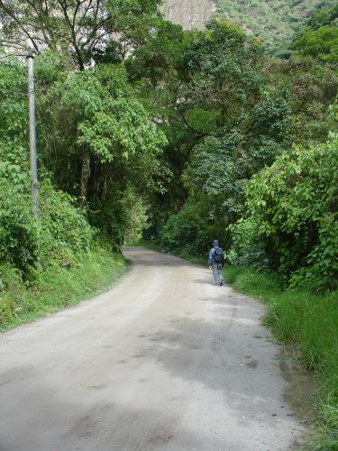 <img0*500:stuff/z/12879/Patricio%2520in%2520Macchu%2520Pichu/DSC04765.JPG>