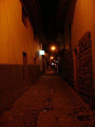 <img0*500:stuff/z/12879/Patricio%2520in%2520Oyataitambo/DSC04588.JPG>