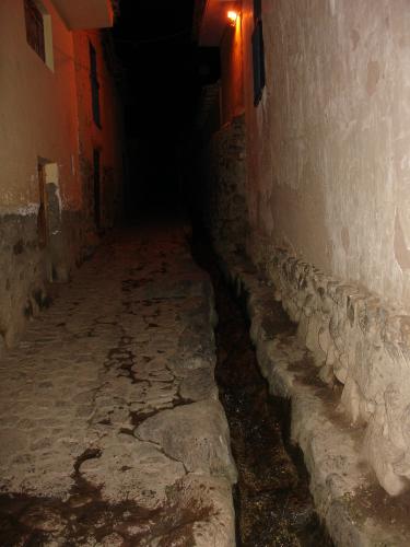 <img0*500:stuff/z/12879/Patricio%2520in%2520Oyataitambo/DSC04595.JPG>