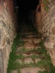 <img0*150:stuff/z/12879/Patricio%2520in%2520Oyataitambo/DSC04598.JPG>