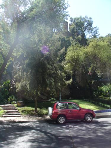 <img0*500:stuff/z/12879/Patricio%2520in%2520Santiago/Imagen%20324.jpg>