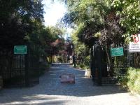 <img0*150:stuff/z/12879/Patricio%2520in%2520Santiago/Imagen%20327.jpg>