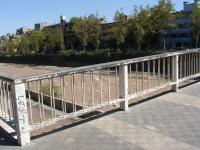 <img0*150:stuff/z/12879/Patricio%2520in%2520Santiago/Imagen%20335.jpg>