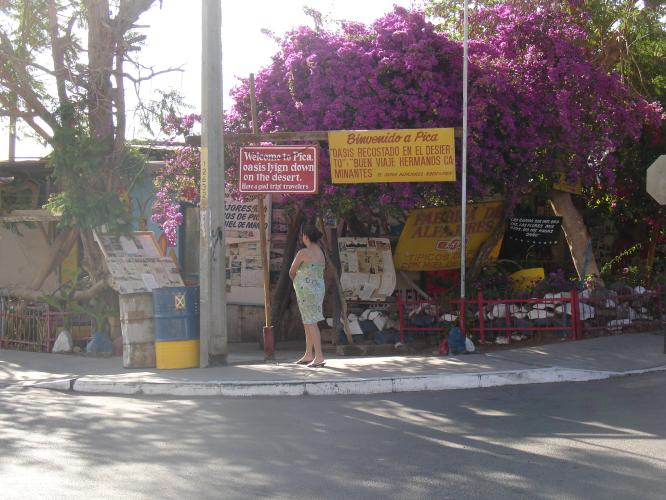 <img0*500:stuff/z/12879/Patricio%2520in%2520salitrera%2520y%2520pueblos/Imagen%20154.jpg>