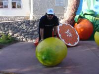 <img0*150:stuff/z/12879/Patricio%2520in%2520salitrera%2520y%2520pueblos/Imagen%20171.jpg>
