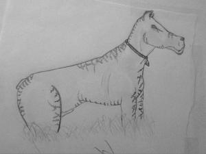 <img300*0:stuff/z/130747/Brokens%2520Drawings%2520Pg%25202/i1238569148_11.jpg>