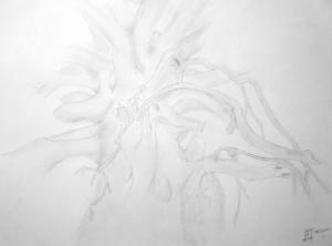 <img300*0:stuff/z/132759/Jett%2527s%2520Art%2520-%2520Black%2520Luster%2520Art%2520Designs/i1266252388_7.jpg>