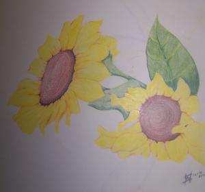 <img300*0:stuff/z/132759/Jett%2527s%2520Art%2520-%2520Black%2520Luster%2520Art%2520Designs/i1266252390_24.jpg>