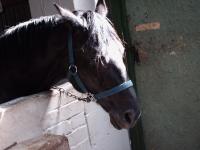 <img200*0:stuff/z/135983/atayhr/i1167518206_12.jpg>