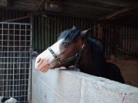 <img200*0:stuff/z/135983/atayhr/i1167518206_13.jpg>