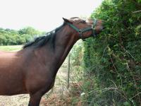 <img200*0:stuff/z/135983/atayhr/i1167518206_7.jpg>