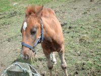 <img200*0:stuff/z/135983/atayhr/i1167518206_8.jpg>