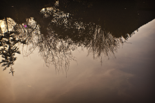 <img0*150:stuff/z/137699/Chimes%253a%2520Reflections/DSC_0044.png>