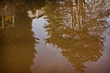 <img0*150:stuff/z/137699/Chimes%253a%2520Reflections/DSC_0045.png>