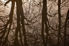<img0*150:stuff/z/137699/Chimes%253a%2520Reflections/DSC_0053.png>