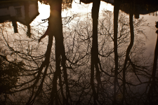 <img0*150:stuff/z/137699/Chimes%253a%2520Reflections/DSC_0054.png>
