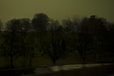 <img0*150:stuff/z/137699/Chimes%253a%2520The%2520Journey/DSC_0014.png>