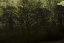 <img0*150:stuff/z/137699/Chimes%253a%2520The%2520Journey/DSC_0113.png>