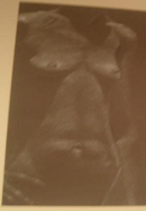 <img300*0:stuff/z/138000/The%2520Artshow%2520At%2520My%2520College/i1229576751_37.jpg>