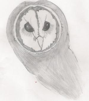 <img300*0:stuff/z/143586/Christina%2527s%2520drawings/i1172894034_4.jpg>